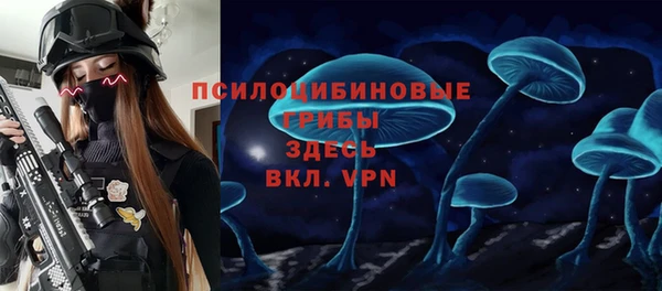 стафф Алексеевка